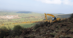 Forest and Tree Services Limited logo