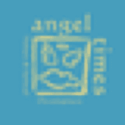 Angel Times Wellness logo