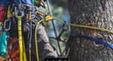 Oakwood Tree Care - Tree Surgeon, Waterford