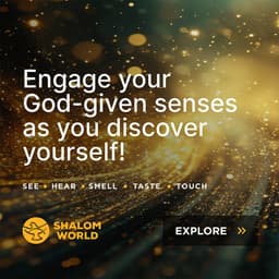 Shalom World (Shalom Media Europe) logo