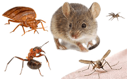 Environmental Pest Solutions logo