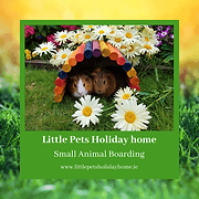 Little Pets Holiday Home Small Animal Boarding logo