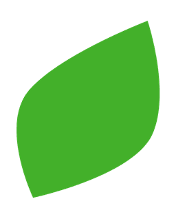St. Bernard's Children's Services logo