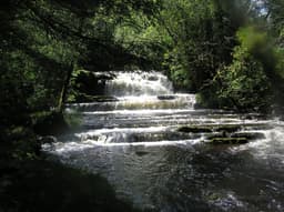 Leitrim Tourism Network logo
