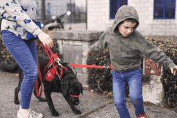 Autism Assistance Dogs Ireland logo