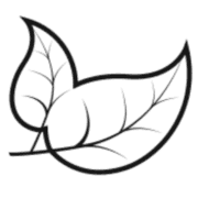 New Leaf Cafe logo