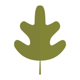 Ruth’s Montessori logo