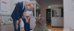 Limerick Museum logo