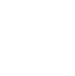 Hearing Solutions logo