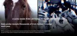 My Lovely Horse Rescue Charity Shop logo