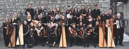 Comhaltas Craobh Dhún Dealgan logo