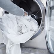 Bee Green Dry Cleaners Ltd logo