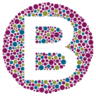 Brady Opticians Donegal Town logo