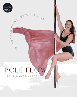 Pole Garage Ireland logo