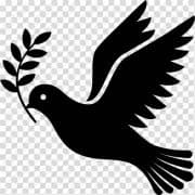 James Ronayne Funeral Home logo