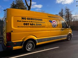 No Survivors logo