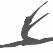 ZoNa Dance Company logo