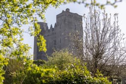 Barryscourt Castle logo