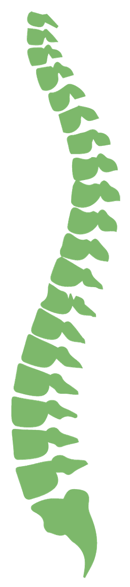 Kaha Chiropractic logo