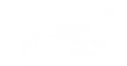 Spotlight Studios logo