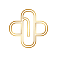 Devine Skin Nurse logo