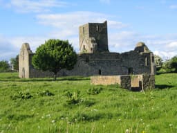 Callan Augustinian Friary/Mainistir Agaistíneach Challainn logo
