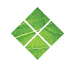Charter Medical Private Hospital logo