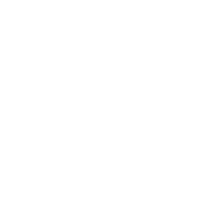 Solar Volt logo