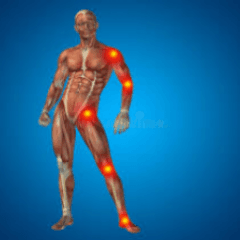 Sligo Sports Injury & Massage logo