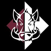 Elevate Gym logo