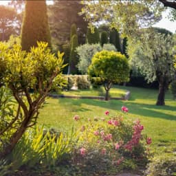 1st Choice Garden & Treecare logo
