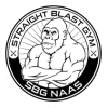 SBG Naas logo