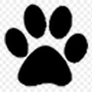 Ecopet | Natural Dog Food Ireland logo