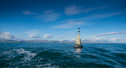 Carlingford Lough Sea Tours logo