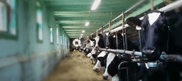 Farmlighting logo