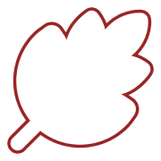 The Leinster Clinic logo