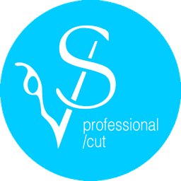 Vassy Professional Haircut logo