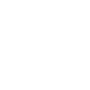 Erre Esse logo