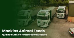 Mackin's Animal Feeds & Hardware Supplies logo