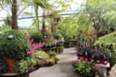 Doyle's Nursery & Garden Centre