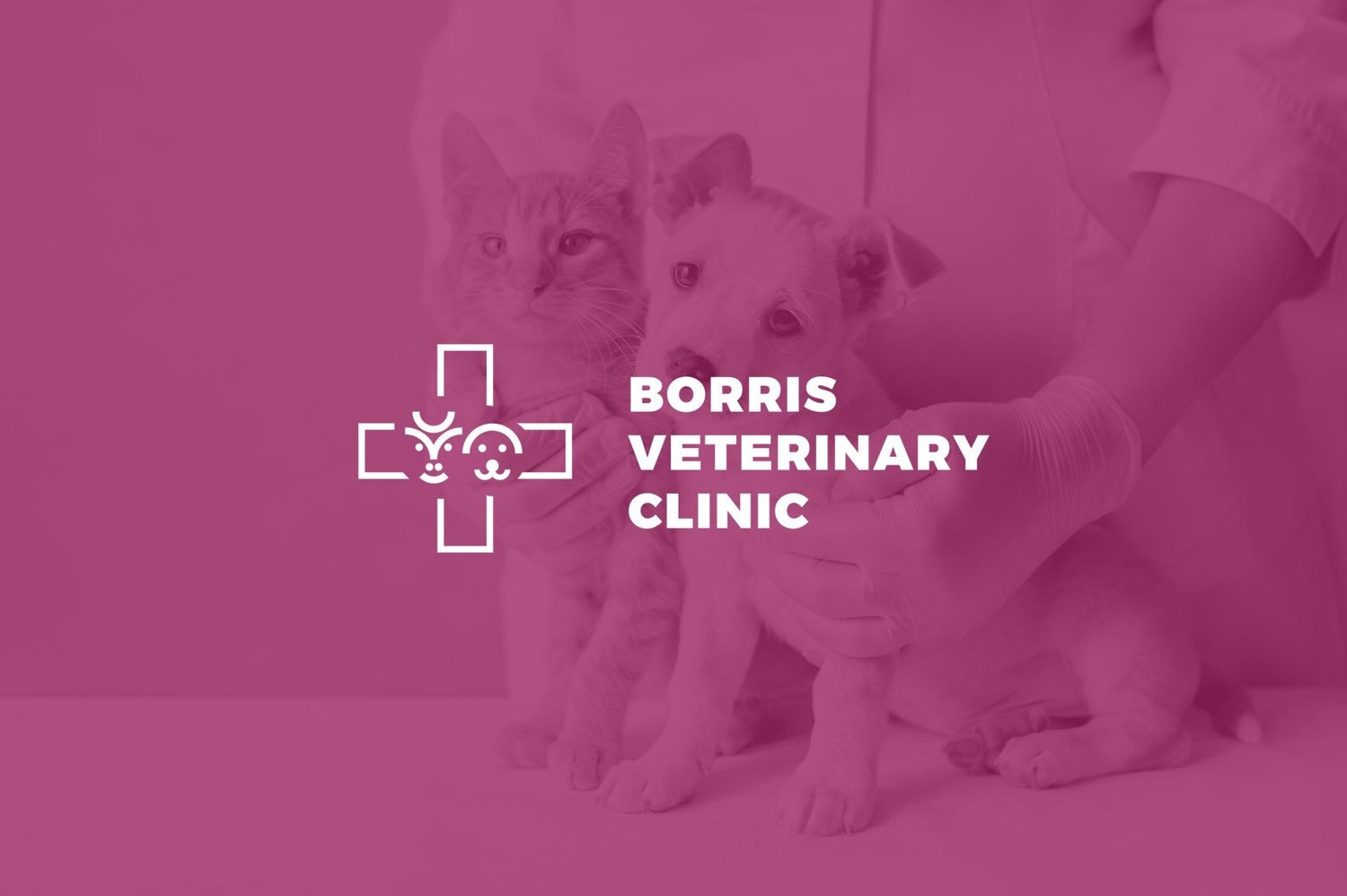 Borrisoleigh Veterinary Clinic