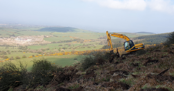 Forest and Tree Services Limited