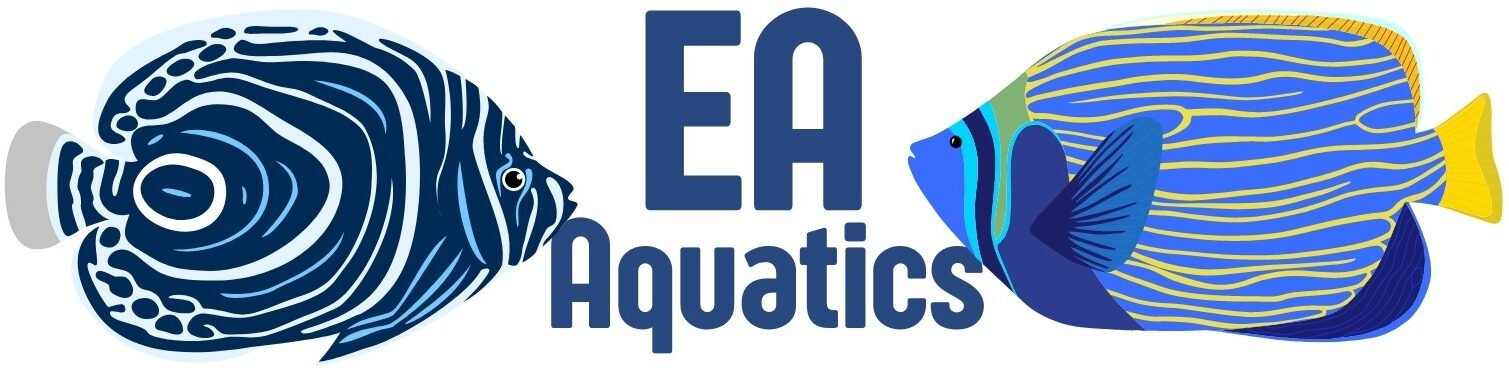 Emperor Angelfish Aquatics