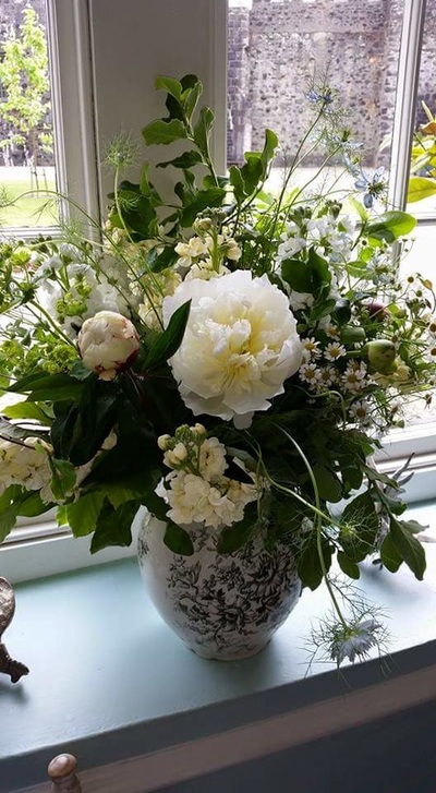 ​Moss Rose