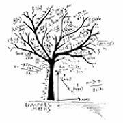 Roantree Maths Grinds