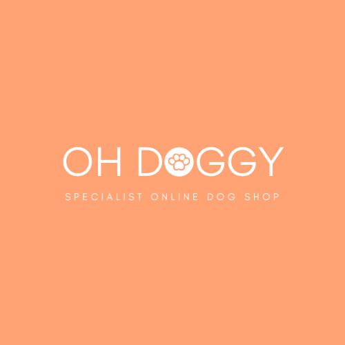 Oh Doggy @ DogDays Belfast