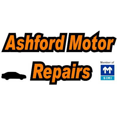 Chenko- Ashford Motor Repairs - Robert