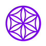 Psychedelic Integration Ireland