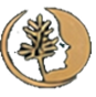 Empower Psychotherapy - Sarah Foley