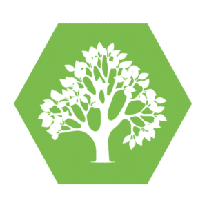 McAuley Tree Surgery | Belfast Tree Surgeons